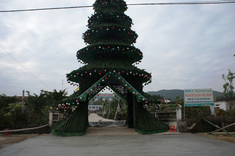 Ngắm cây thông Noel cao bằng tòa nhà 7 tầng