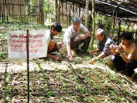 UBND tỉnh Quảng Nam bị kiện ra tòa