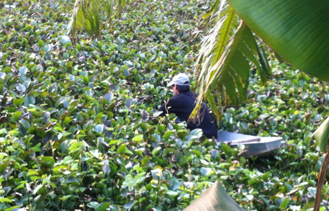 'Nhà ngoại cảm' chỉ nạn nhân Cát Tường dưới ao bèo