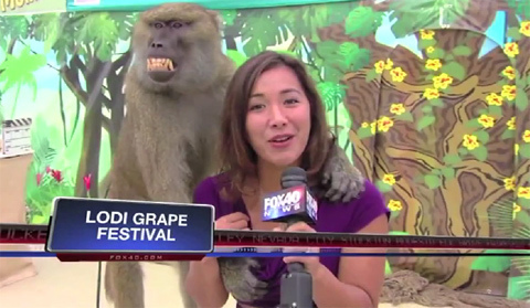 Những tai nạn sốc nhất năm 2013 của các nữ MC