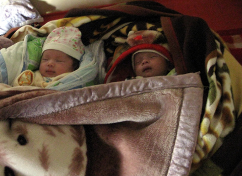 Ấm áp hai bé song sinh nhờ tinh trùng người cha đã khuất