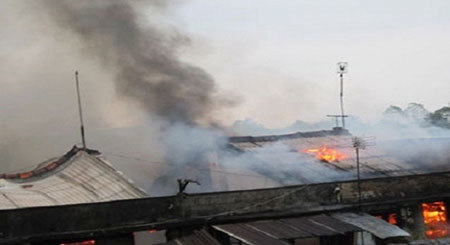 Hàng trăm cây vàng bị cháy, người dân đổ xô đi 'hôi của'?