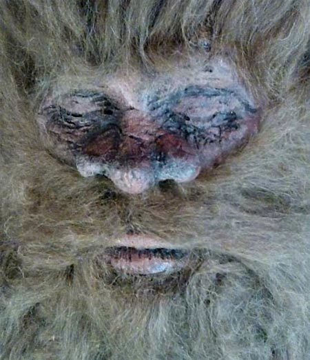 quái thú, quái vật, Bigfoot, Sasquatch, Yeti, Người tuyết, dã nhân, thợ săn, bằng chứng