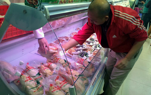 Gà Yên Thế, mùa đầu thắng gà nhập lậu