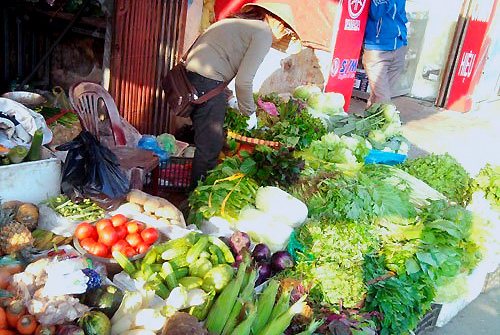 Chính vụ, giá rau xanh giảm mạnh