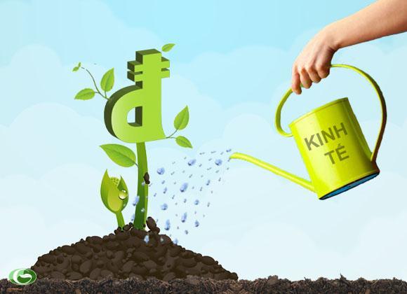 Những nghịch lý và cải cách bị bỏ lỡ