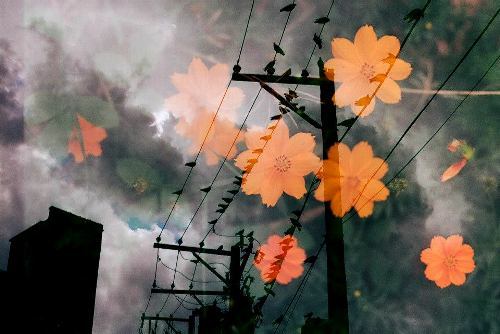 Ảnh chồng phim độc đáo chưa từng có