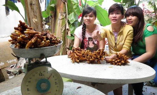 Nữ sinh say sưa chụp ảnh với củ nghệ ‘khủng’