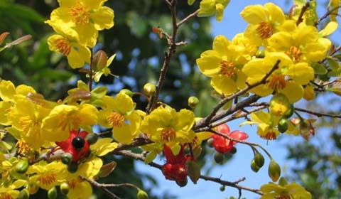 Một năm và những tấm lòng thiện nguyện