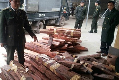 Liên tục phát hiện gỗ lậu qua đường hàng không