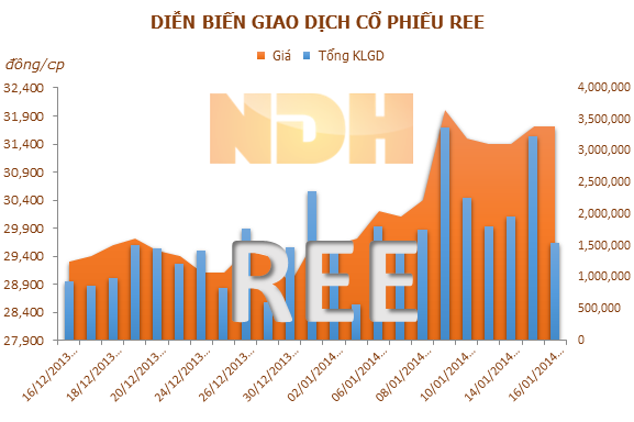 Nắm 1.000 tỷ, nhà bà Mai Thanh thống trị REE