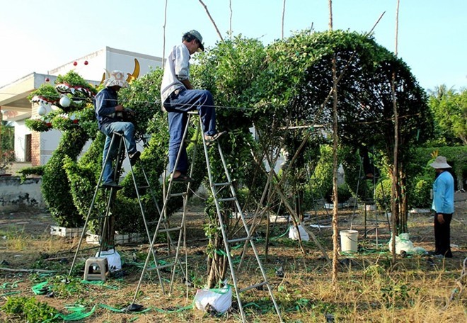 Phát hoảng với thuốc tăng cân trôi nổi