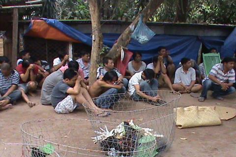 Cảnh sát tập kích trường gà vùng ven, tạm giữ 30 người