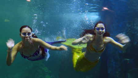 Nàng tiên cá xinh đẹp ở thủy cung lớn nhất Việt Nam