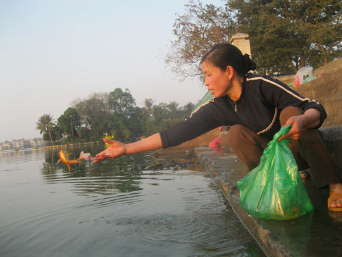 Người Hà Nội thả cá chép tiễn ông Táo về trời
