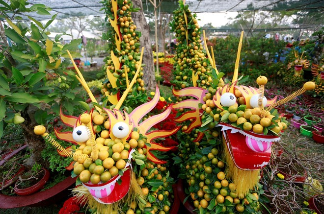 Cây mai bạc tỷ có hình Hoàng Sa, Trường Sa tại Sài Gòn