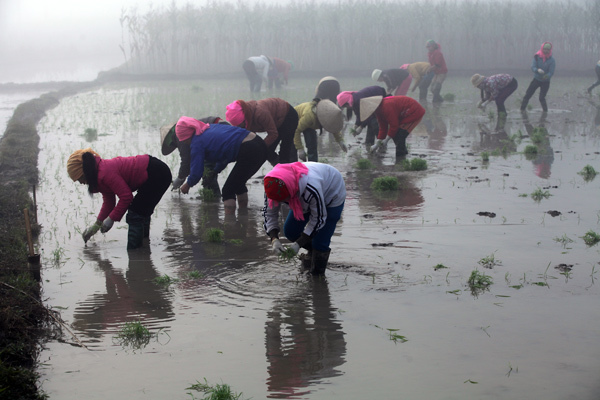 Những sắc màu huyền ảo ở Mường Lò