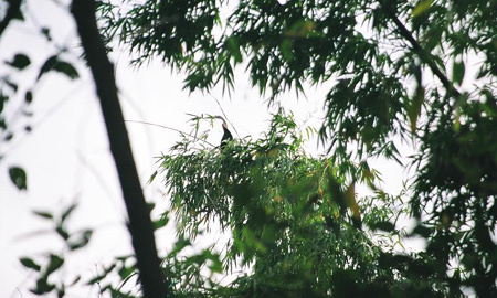 Kết đẹp cho tình yêu lớn của một người mẹ
