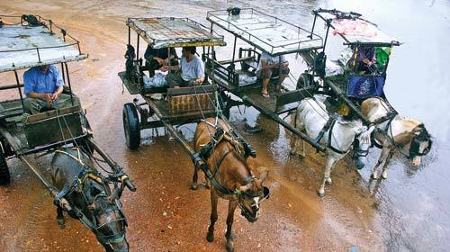 Con ngựa già và chiếc xe Mẹc của bạn tôi