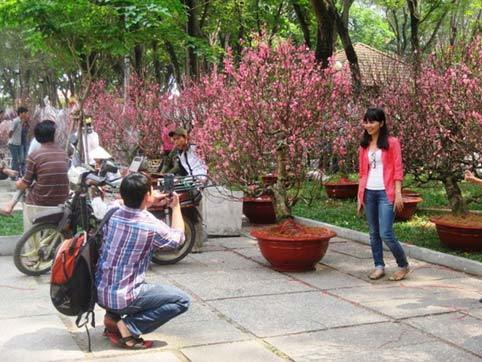 Người Sài Gòn thích thú ngắm hoa đào ngày Tết