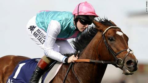 Ngắm chú ngựa trị giá hơn trăm triệu đô