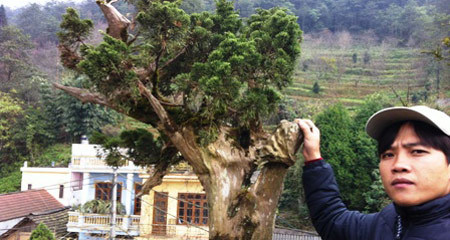 Leo 'nóc nhà Đông Dương' săn tùng núi