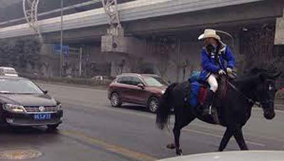 1001 kiểu về quê ăn Tết