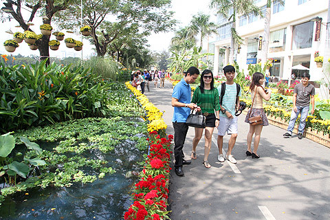 Lạ lùng hội hoa ở 'phố nhà giàu'