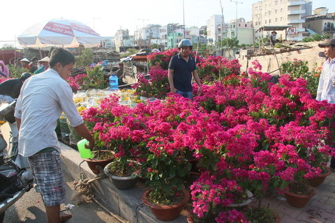 Bán tháo hoa khi cận giao thừa