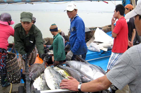 Chở Tết về từ biển khơi