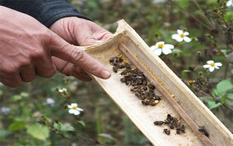 Gặp ‘người hùng’ nông dân khui ra vụ chôn hóa chất