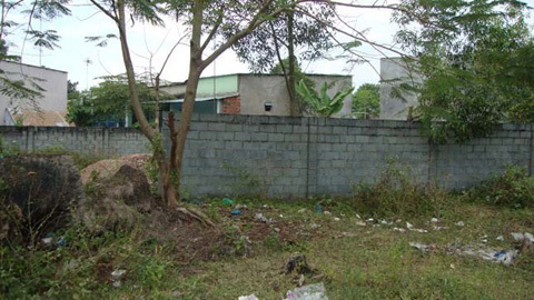 Giải mã lời đồn cây liễu và số 3 tang tóc