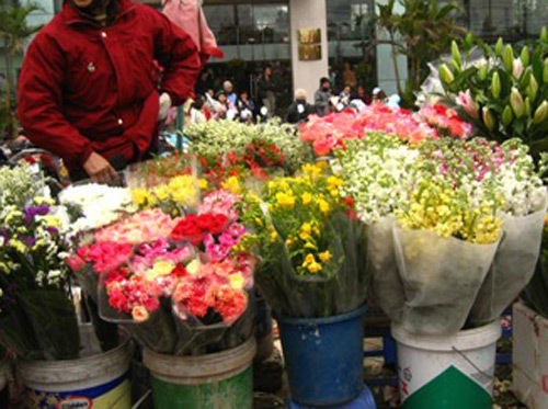 Thương lái Trung Quốc ‘săn’ hoa hồng Đà Lạt