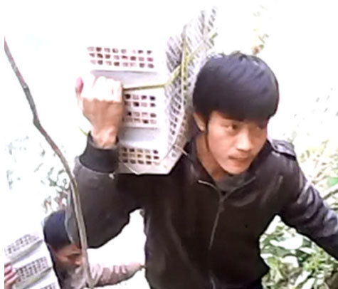 Chủ lô hàng khẳng định có chuyện 'hôi của'