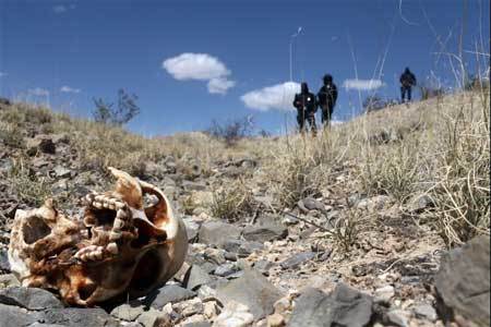 Hàng trăm thi thể cháy thui ở biên giới Mỹ, Mexico