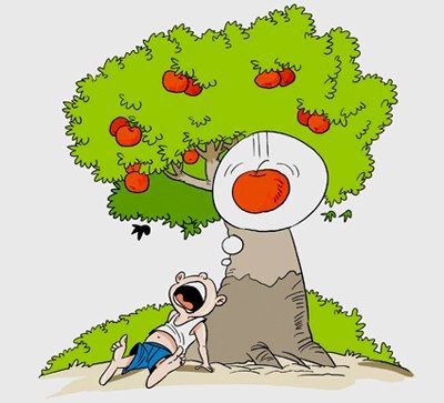 'Cái thể chế này nó thế!'