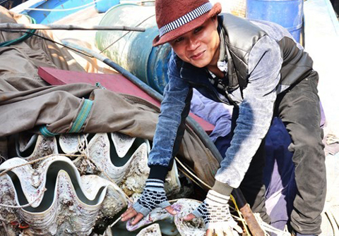 15 triệu đồng một con sò tượng