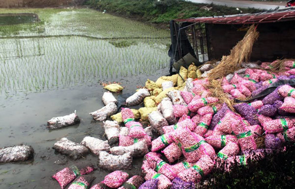 Lật xe tải chở hàng, không ai ‘hôi của’