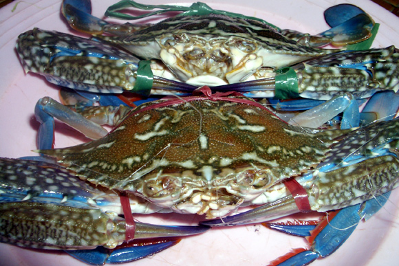 Mốt bán giúp, đi chợ hộ của chị em công sở