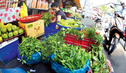 Rau rừng bán đầy phố: Có an toàn?