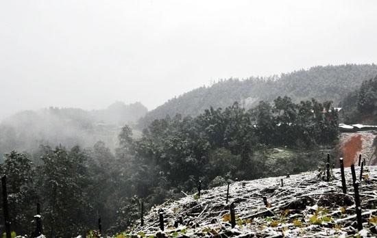 Xuất hiện mưa tuyết ở Sa Pa