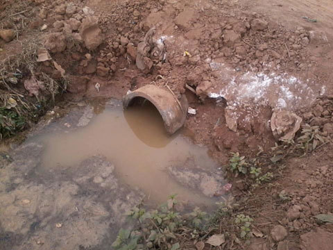 Hoảng hồn phát hiện sọ người bọc trong túi nilon