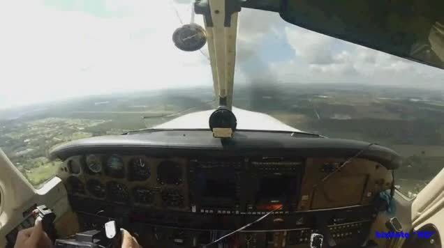 Phi công bị thương vì chim đâm vào mặt