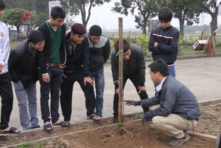 Hoa anh đào Nhật sẽ bung sắc trên đất Hà Nội