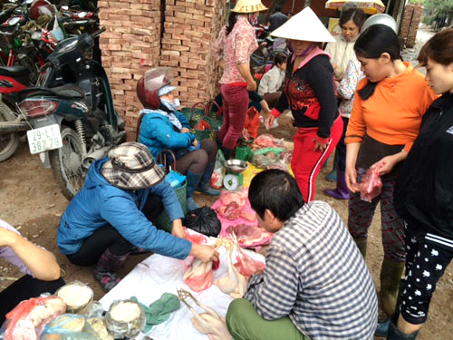 Dịch cúm về Hà Nội, dân nghèo Thủ đô ăn gà chảy nước