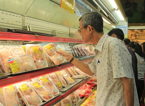 Gom gà ế chờ hết dịch bán