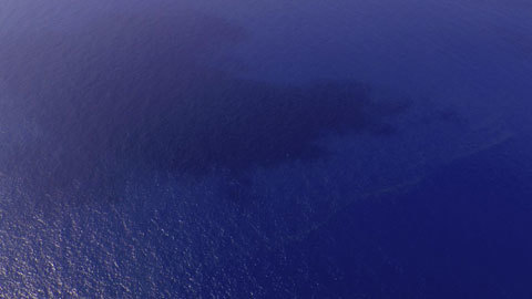 Interpol xác nhận vụ hộ chiếu mất cắp