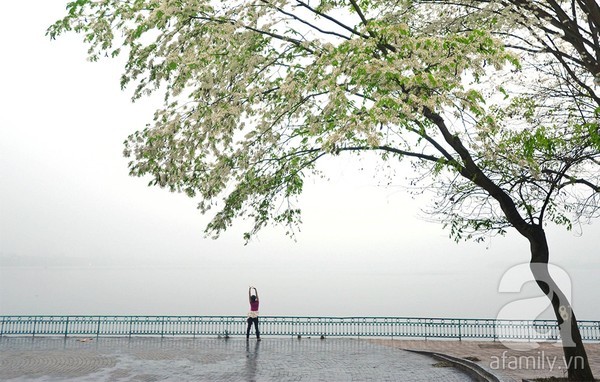 Hà Nội tinh khôi, dịu dàng trong hương sắc hoa tháng 3
