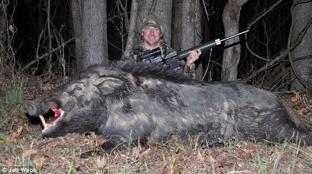 lợn rừng 227kg, quái vật, Jett Webb