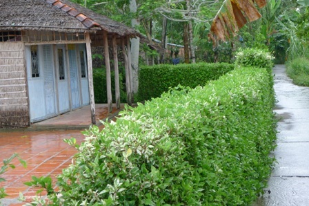 Chạnh buồn khi về lại 'góc tuổi thơ'